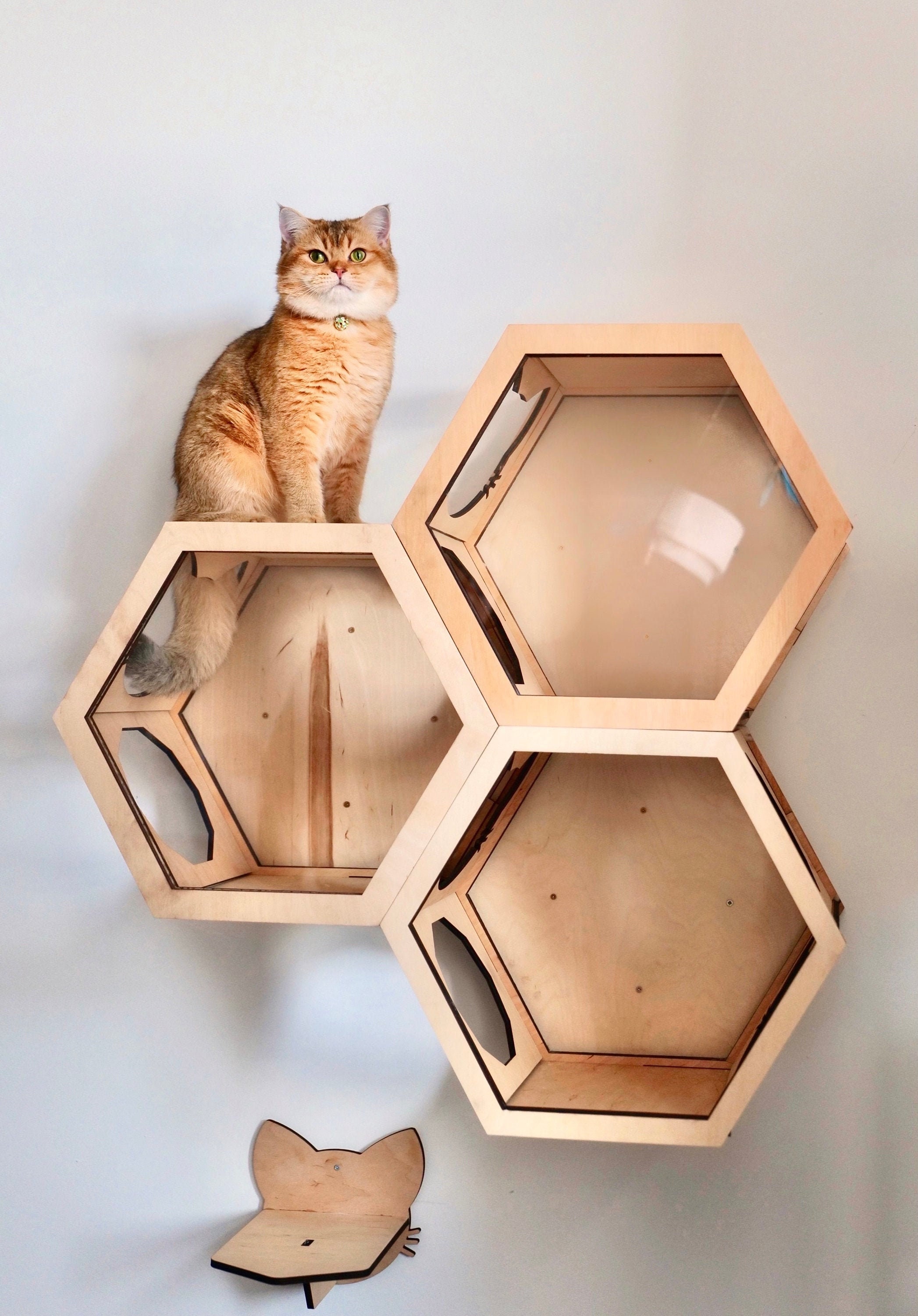 Cat Hexagon Shelf Cat Shelves for Wall Wooden Cat Furniture Etsy