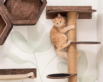 Árbol rascador de pared de madera natural para gatos, estantes de pared para gatos, cama flotante para gatos, regalo para gatos, decoración de pared para gatitos trepadores de CatsMode