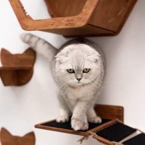 Cat Wall Furniture Gifts for Pets Cat Shelves Cat Steps Cat Climbing Wall Shelves Cat Walk Wall Cat Ladder for Wall Gift for Cats Catsmode image 1