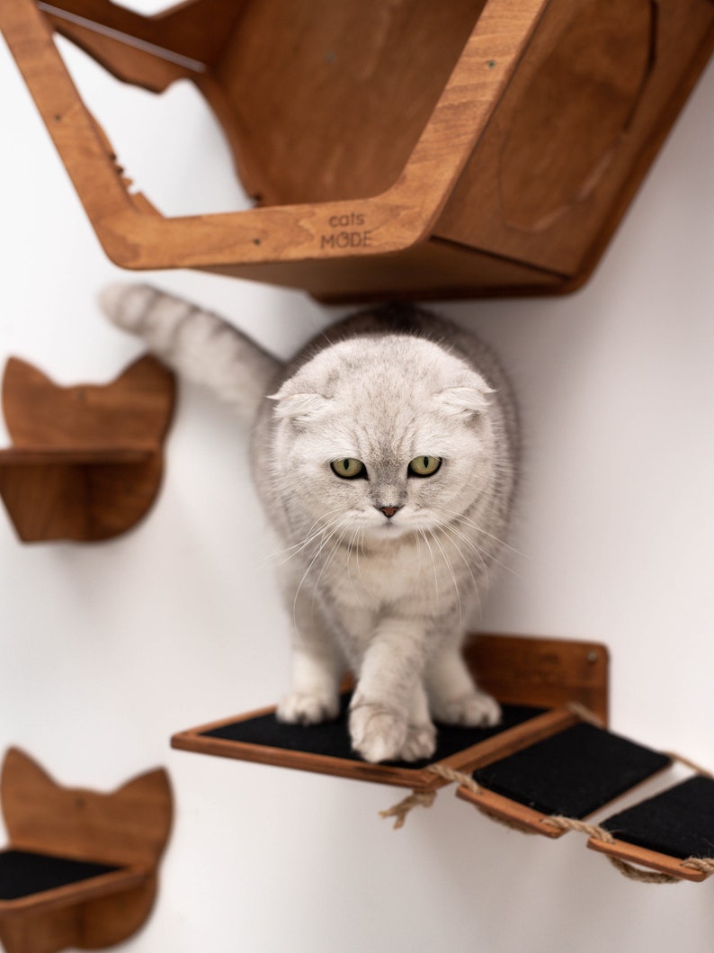 Cat Wall Furniture Gifts for Pets Cat Shelves Cat Steps Cat Climbing Wall Shelves Cat Walk Wall Cat Ladder for Wall Gift for Cats Catsmode image 1