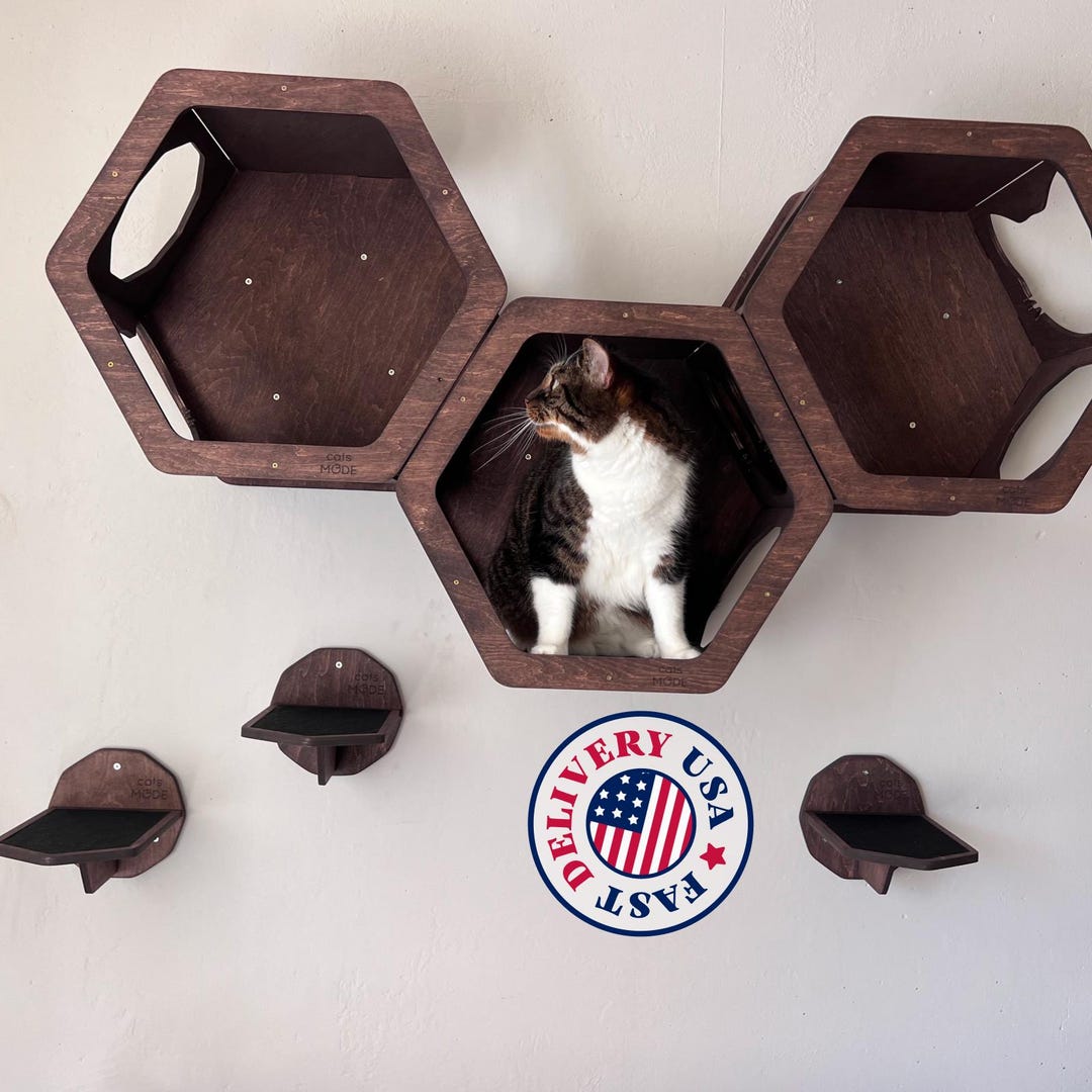 Wood Cat Shelf, Cat Wall Shelves, Cat Wall Furniture, Cat Wall Climbing ...