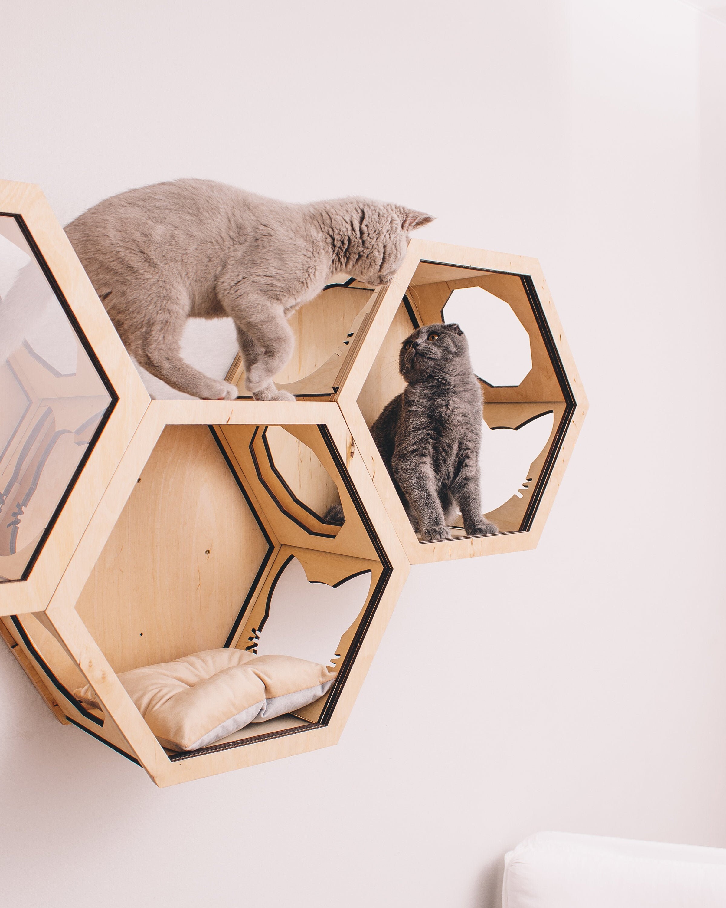 hexagon cat shelf