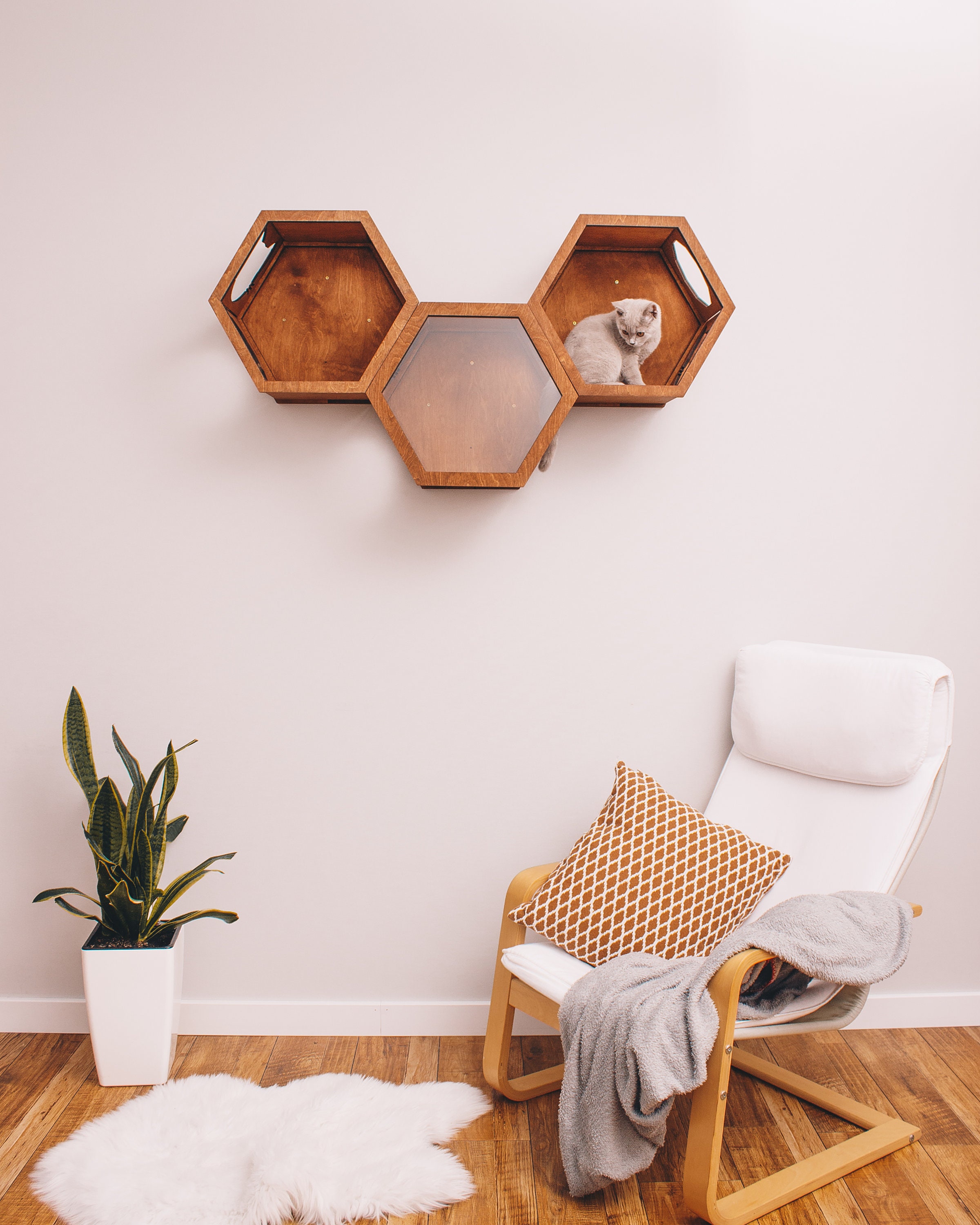 Wood Cat Furniture Cat Shelves Hexagon Shelf for Cat Gift Etsy