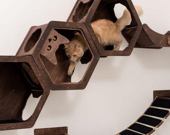 Wall Mounted Cat Shelves, Cat Climbing Furniture, Wooden Cat Bridge, Hexagon Cat Shelf, Custom Pet Bed, Cat Tree Playground Gym, Cat Steps