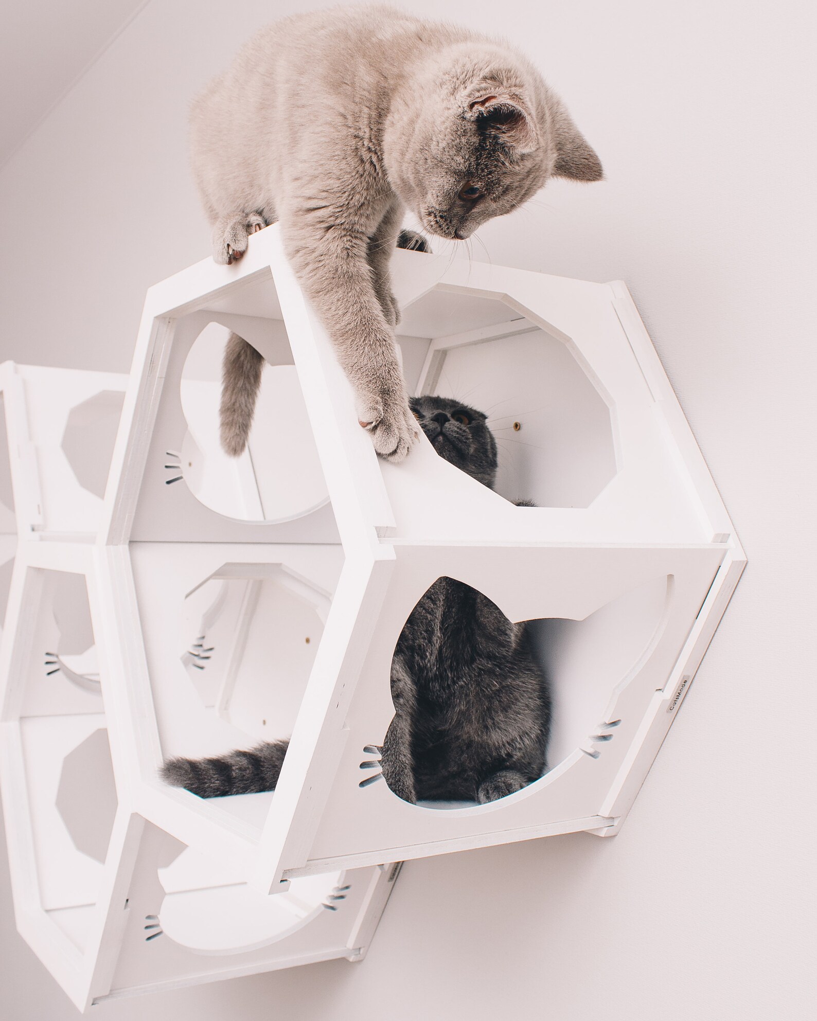 Wood Cat Furniture Cat Shelves Hexagon Shelf for Cat Gift Etsy