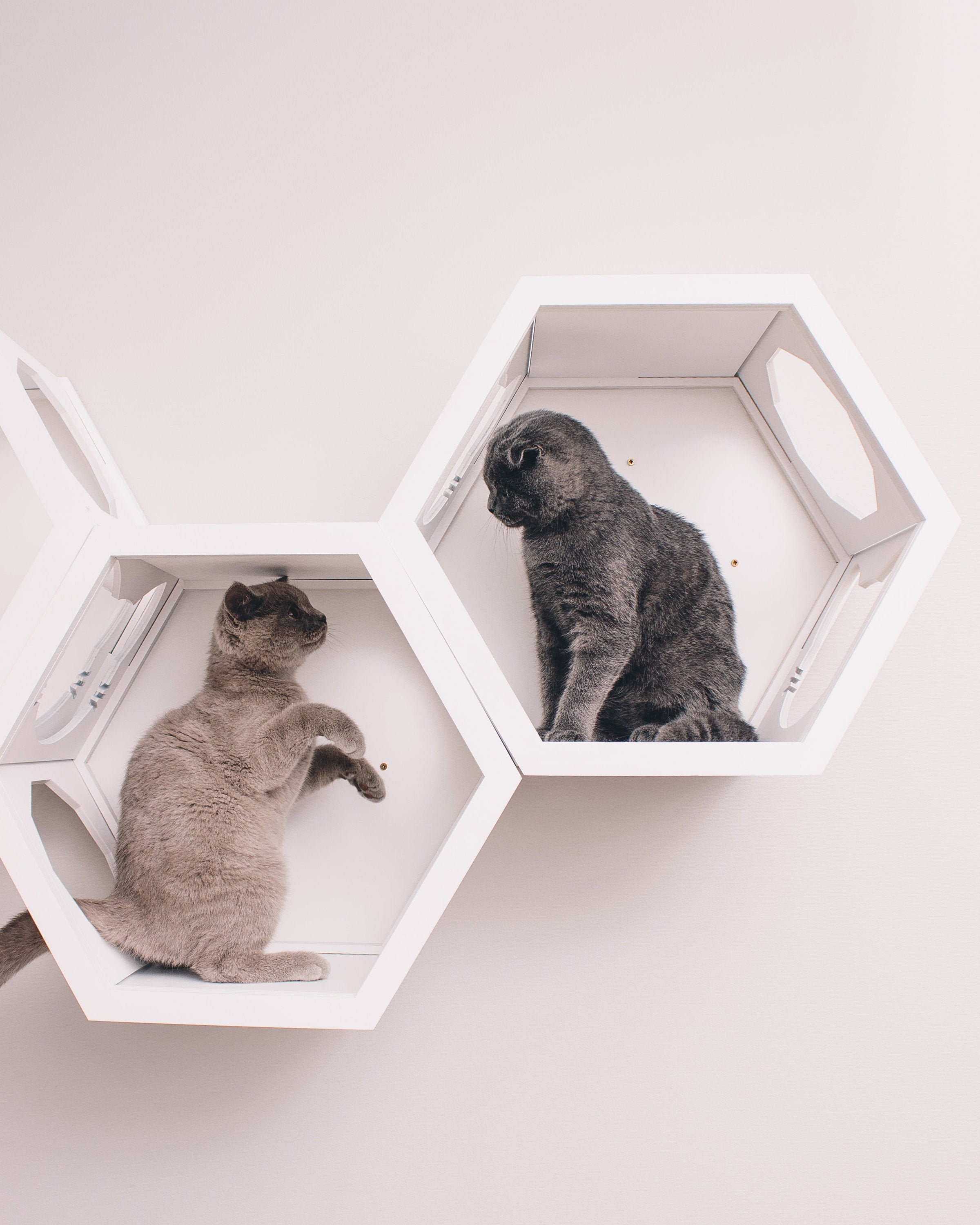 Cat Hexagon Shelves Wall Mount Cat Furniture Cat Shelf Wall Etsy