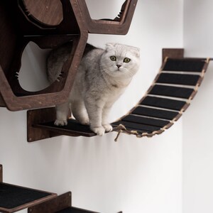May include: A white cat with green eyes sits on a wooden platform with a rope bridge attached to a wall-mounted cat tree made of hexagonal wooden boxes.