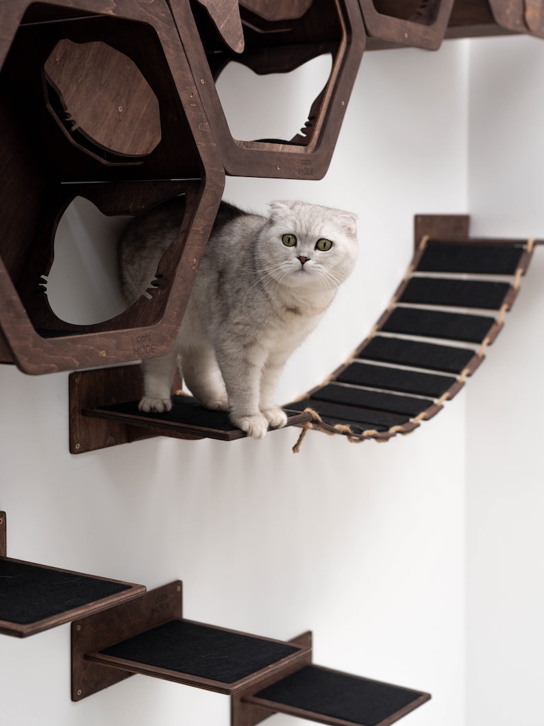 May include: A white cat with green eyes sits on a wooden platform with a rope bridge attached to a wall-mounted cat tree made of hexagonal wooden boxes.