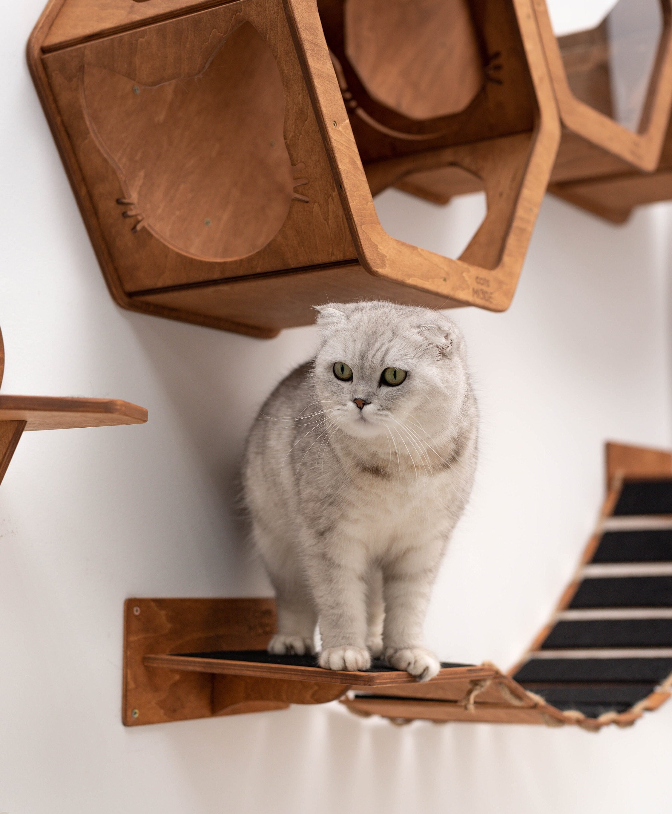 Cat Wall Furniture Cat Shelves Set Wall-mounted Cat Climber Set
