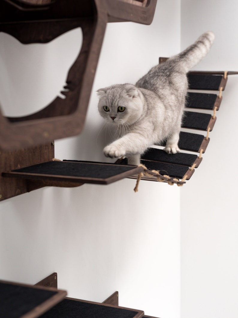 May include: A gray and white cat walks across a wooden cat tree with a rope bridge. The cat tree has multiple platforms and is mounted on a white wall.