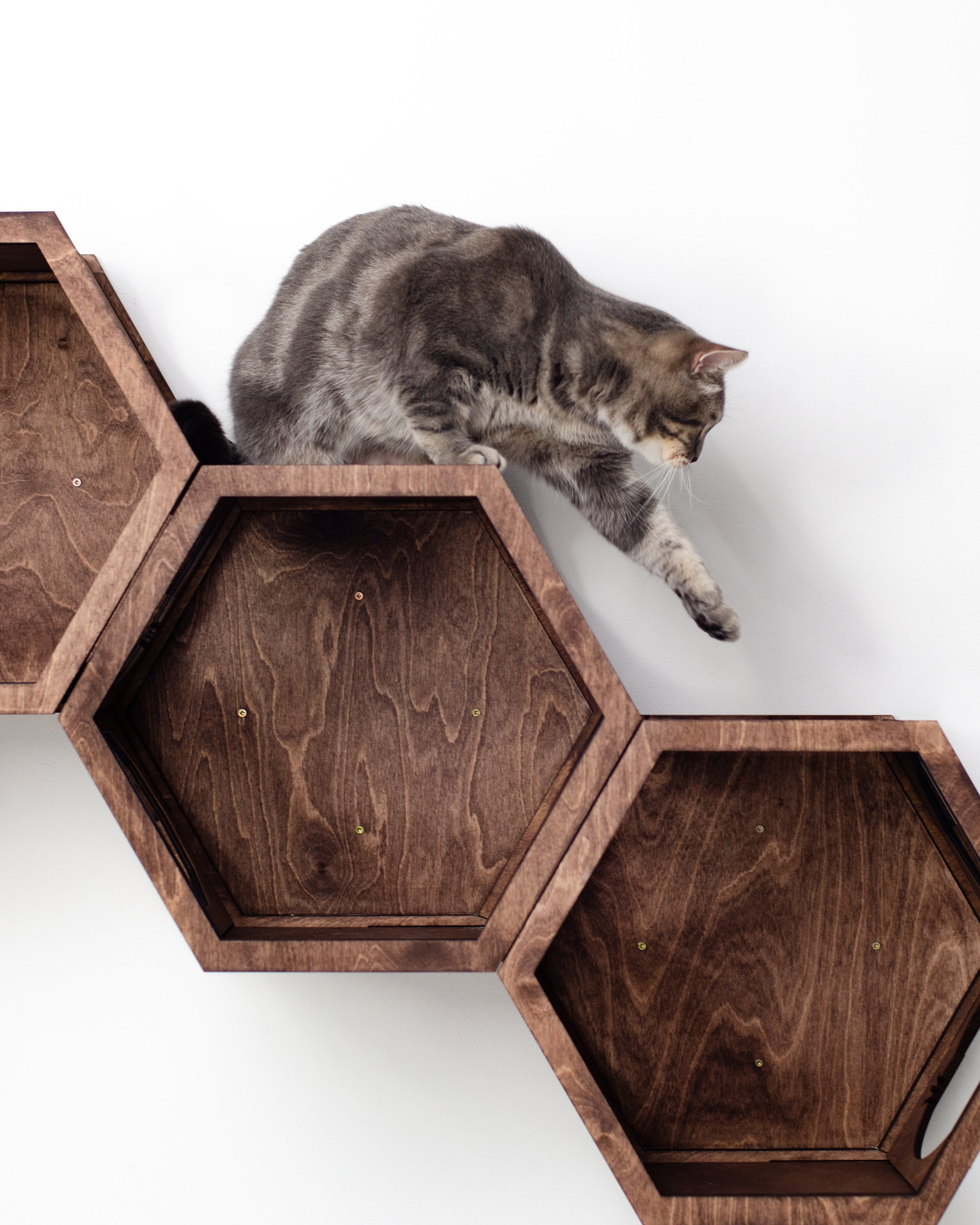 Cat Shelves and Perches for Wall Modern Cat Furniture Wood Etsy