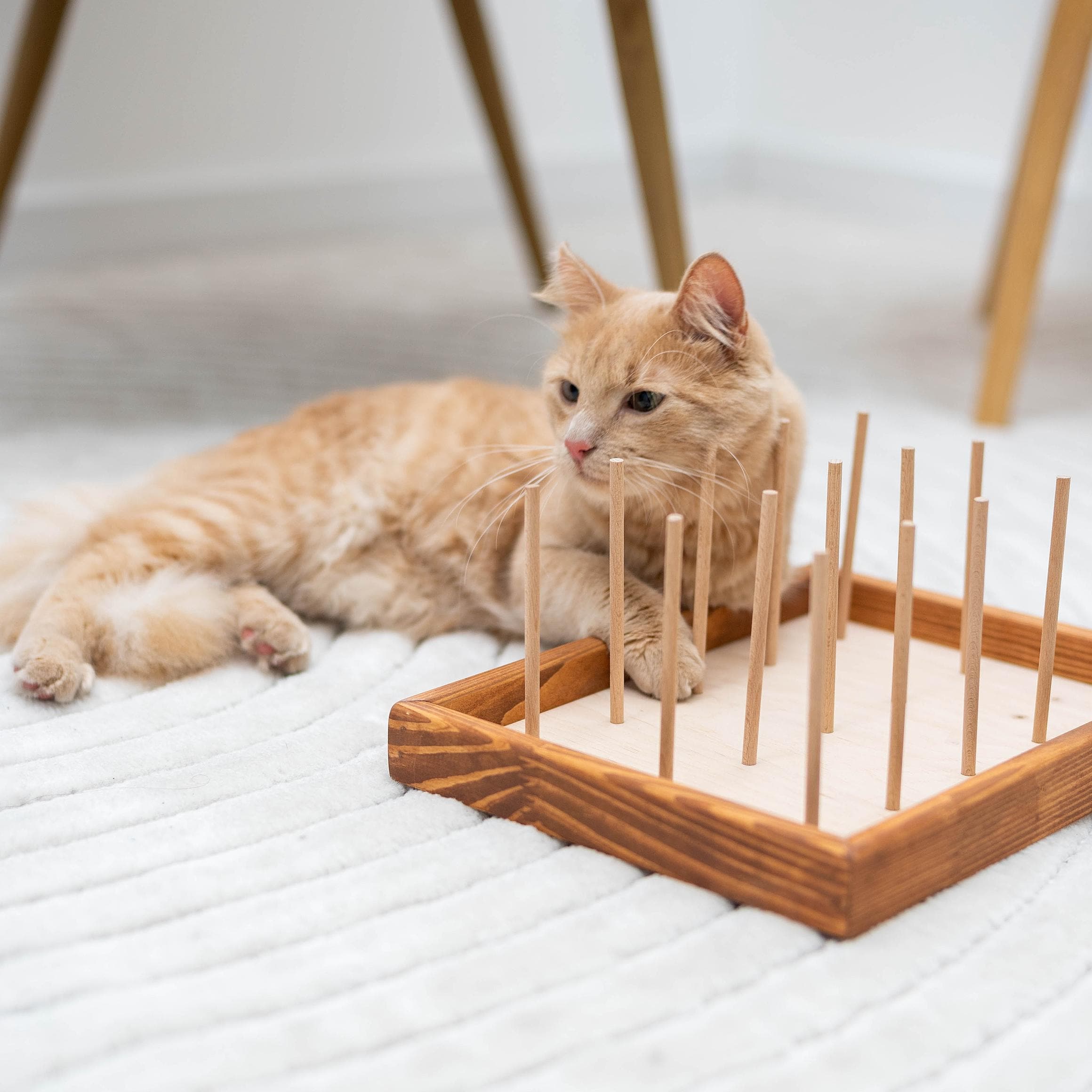 Chewy cat products hot sale