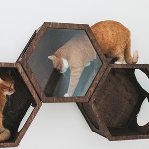 Acrylic Cat Hexagon Wall, Best Gift for Cat Lover, Cat Furniture, Cat Shelves, Playground Cat Wall, Cat Wall Tunnel, Mounted Cat Shelves