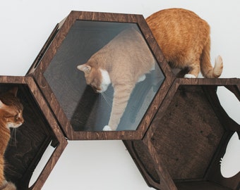 Acrylic Cat Hexagon Wall, Best Gift for Cat Lover, Cat Furniture, Cat Shelves, Playground Cat Wall, Cat Wall Tunnel, Mounted Cat Shelves