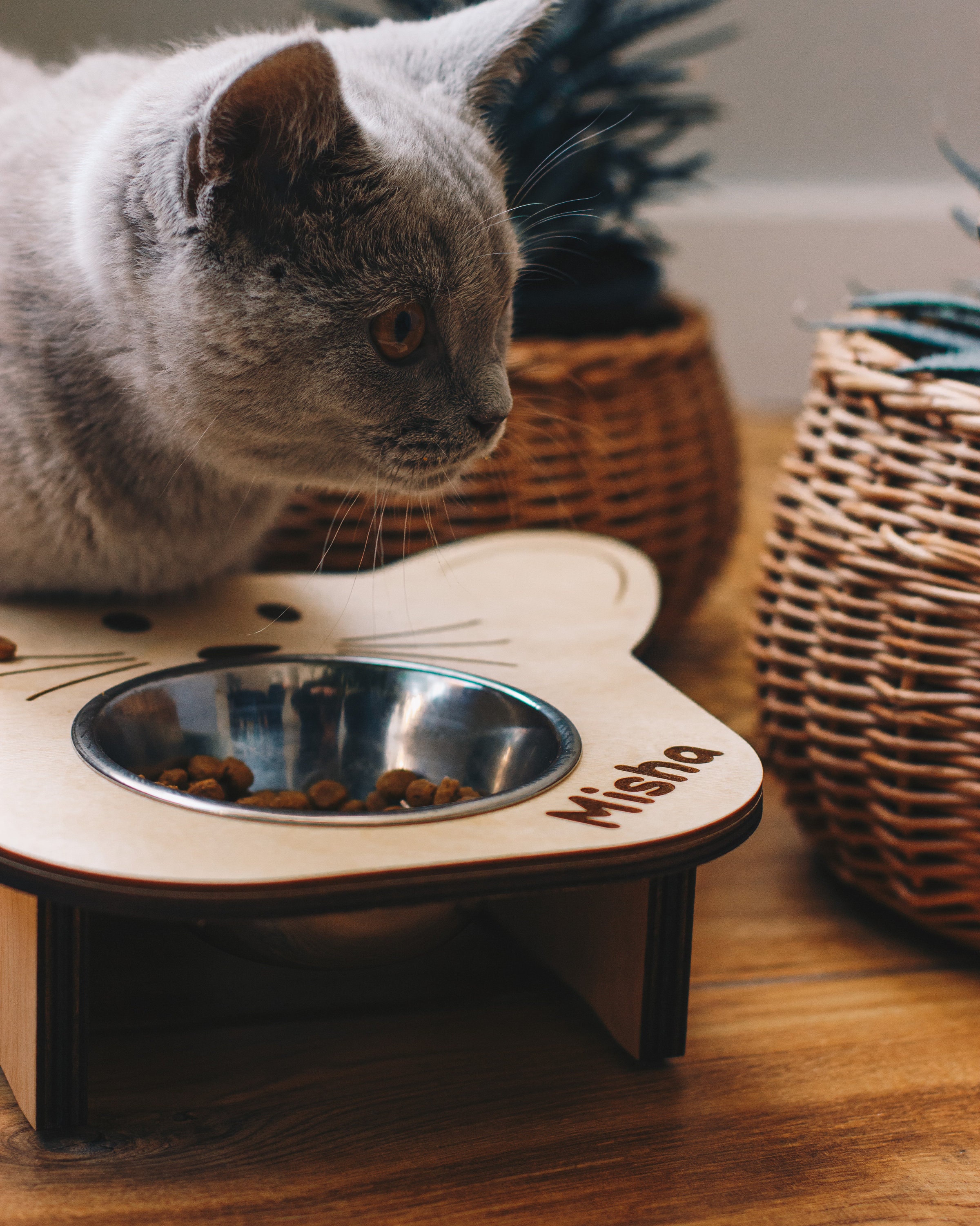 Personalized Cat Gift Cat Food Bowl Custom Cat Bowls Wooden Etsy