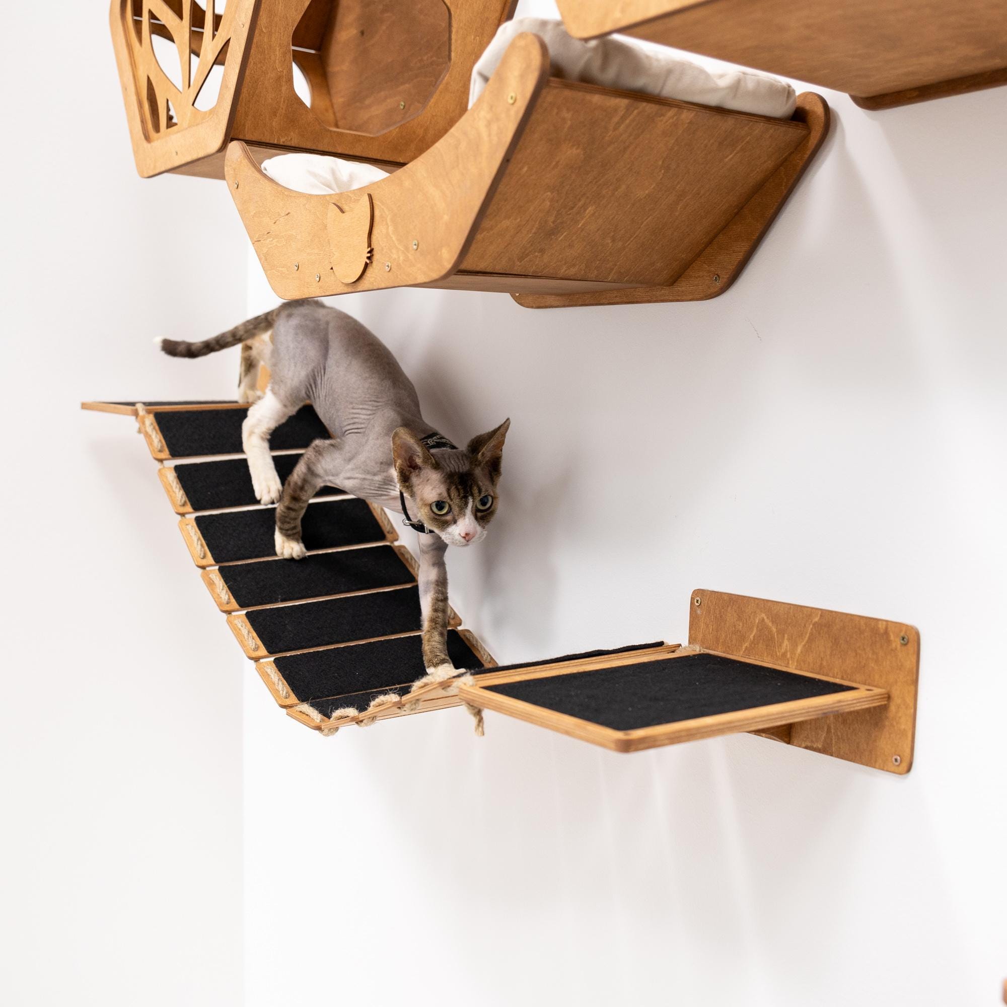Modern Cat Wall Shelves, Cat Wall Furniture Set, Indoor Kitty
