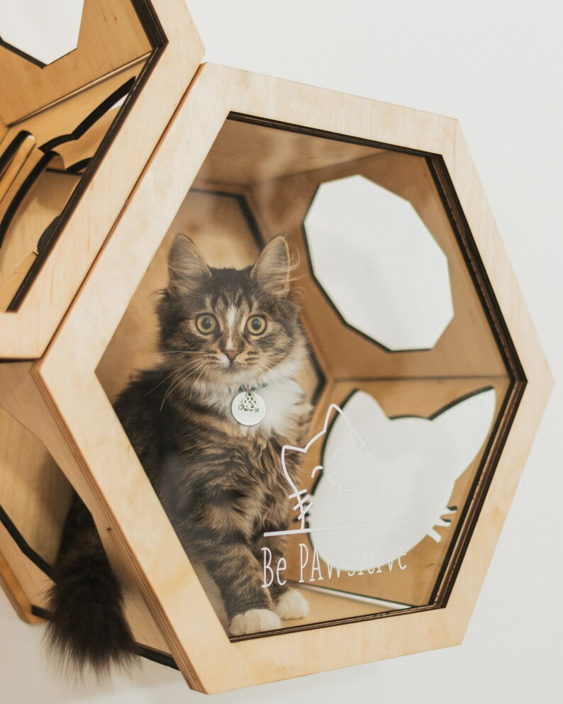 Cat Shelf Cat Wall Shelves Unique Cat Bed Modern Cat Etsy