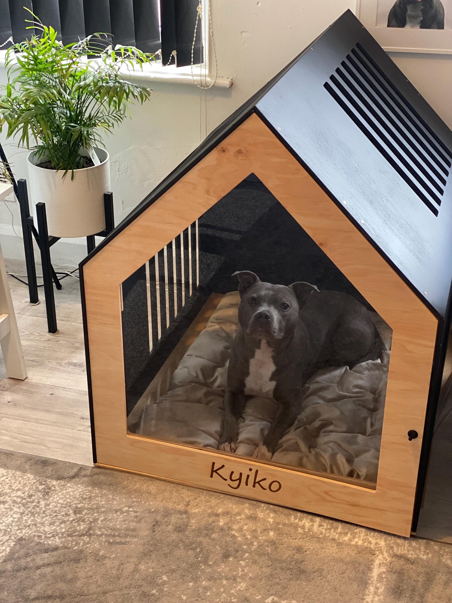 Luxus Hundehutte Indoor