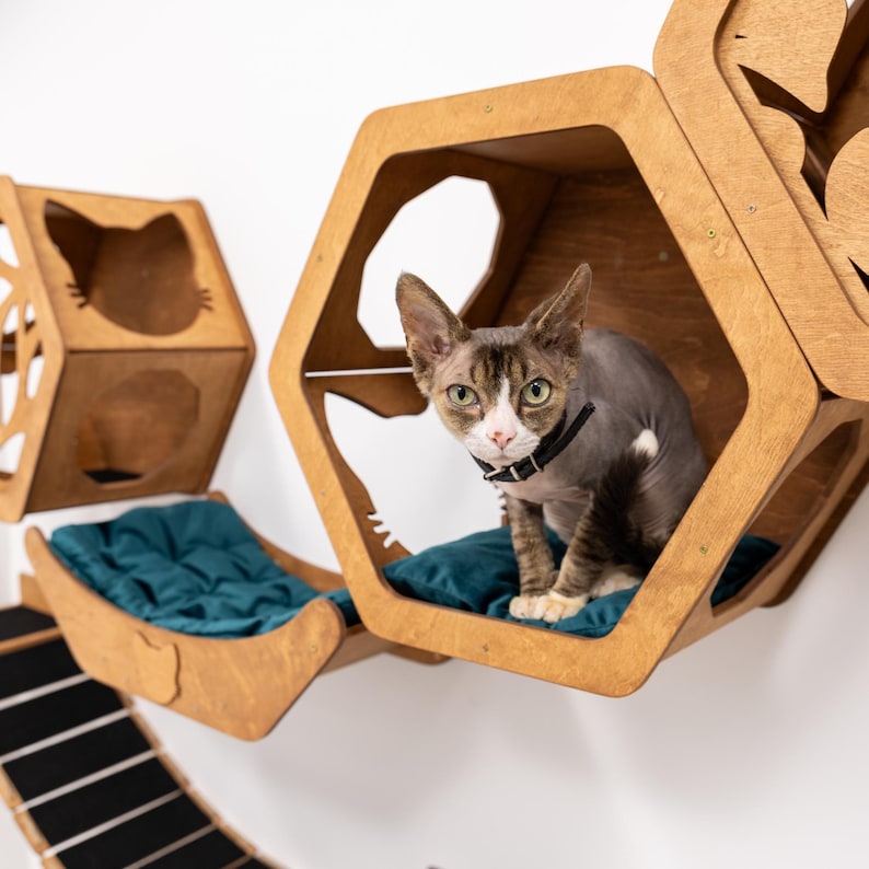 Wall Cat Bed, Cat Wall Furniture, Wall Cat Decor, Cat Lover Gift, New Home Gift, Cat Furniture, Cat Wall Play Furniture, Cat Basket image 7