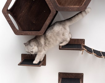 Estantes de pared para gatos, muebles para gatos, puente para pared para gatos, juego de estantes hexagonales para gatos, pared de estantes para gatos, torre de árbol para gatos, árbol para gatos moderno, casa para gatos