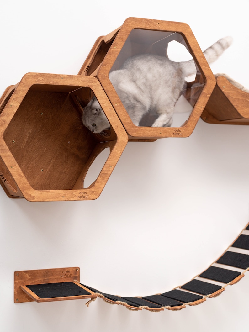 May include: A wooden cat tree with a honeycomb design and a bridge. The cat tree has three hexagonal shelves, one with a clear window. The bridge is made of rope and has black fabric pads. The cat tree is labeled "Cats Mode".