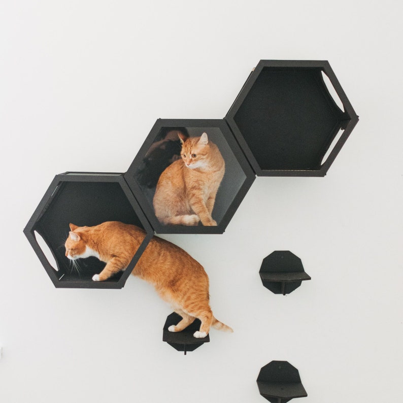 Cat Wall Furniture, Cat Wall Shelves, Cat Furniture, Cat Wall Sets, Wall Shelves for Cat, Design Hexagon for Cat, Big Cat Furniture zdjęcie 1