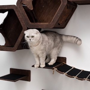 Сat Steps, Cat Wall Furniture, Pet Steps, Wooden Shelves for Cat, Stairs with Felt, Cat Gym Wall, Kitty Steps, Cat Toys, Cat Owner Gifts