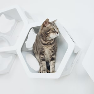 猫用家具、壁掛け式止まり木、壁掛け式猫用棚、モジュール式猫用家具、壁掛け式猫用棚、猫好きへのプレゼント、ペットオーナー向け