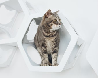 Cat Furniture, Wall Mounted Perch, Cat Shelf Wall Mounted, Modular Cat Furniture, Cat Shelves for Wall, Cat Gift for Cat Lovers, Pet Owner