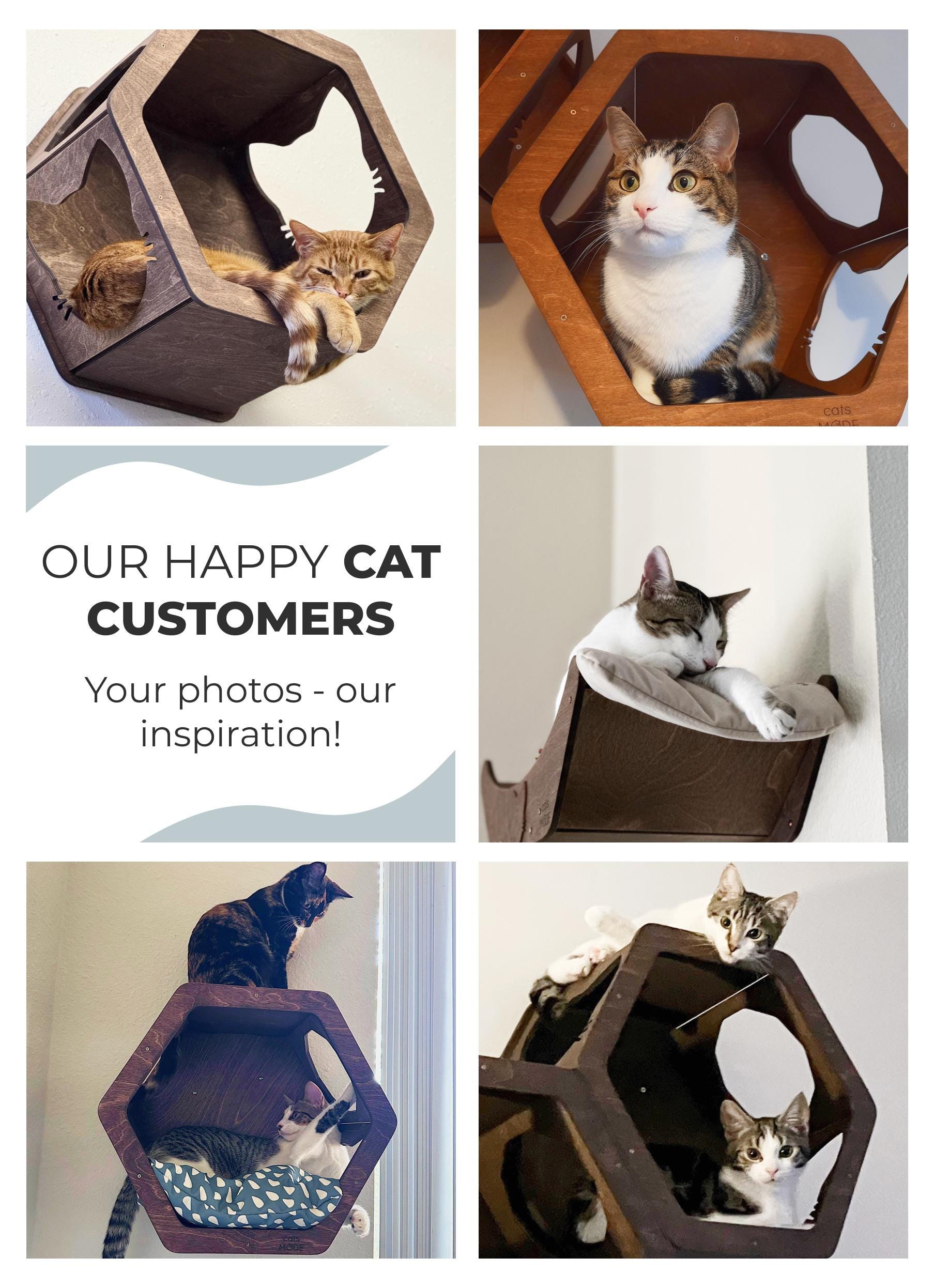 Mensola Da Parete Per Gatti In Cristallo - Espositore Decorativo Per Casa, Design Moderno E Funzionale - Foto 8