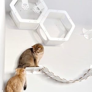 Moderne kattenmeubels, kattenplanken zitstokken voor aan de muur, houten muurbevestiging kattenmand, zeshoekige plank kat, kattenspeelgoed idee, cadeau kitten kat eigenaar