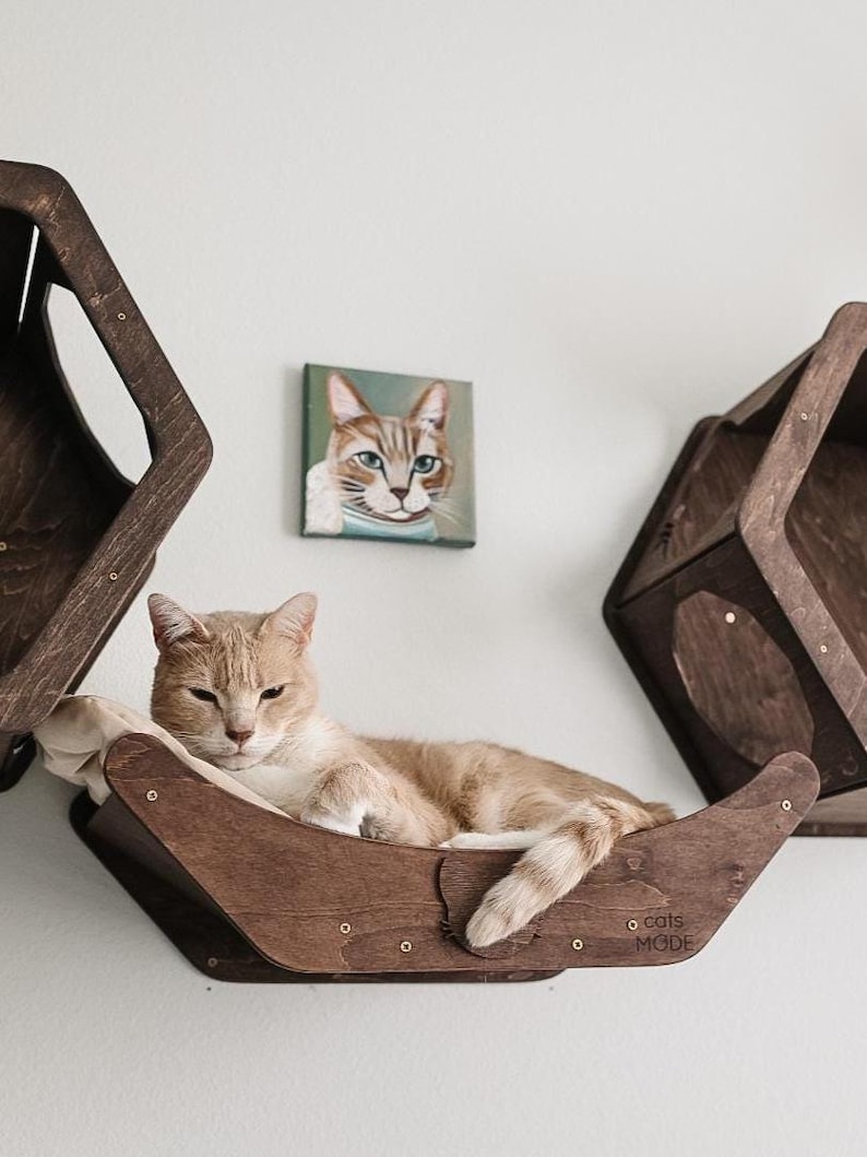 May include: A light orange cat relaxes in a wooden cat bed mounted on a white wall. The bed has a curved design with a soft, cream-colored cushion. A small painting of a cat hangs above the bed. Two additional wooden cat shelves are also mounted on the wall.