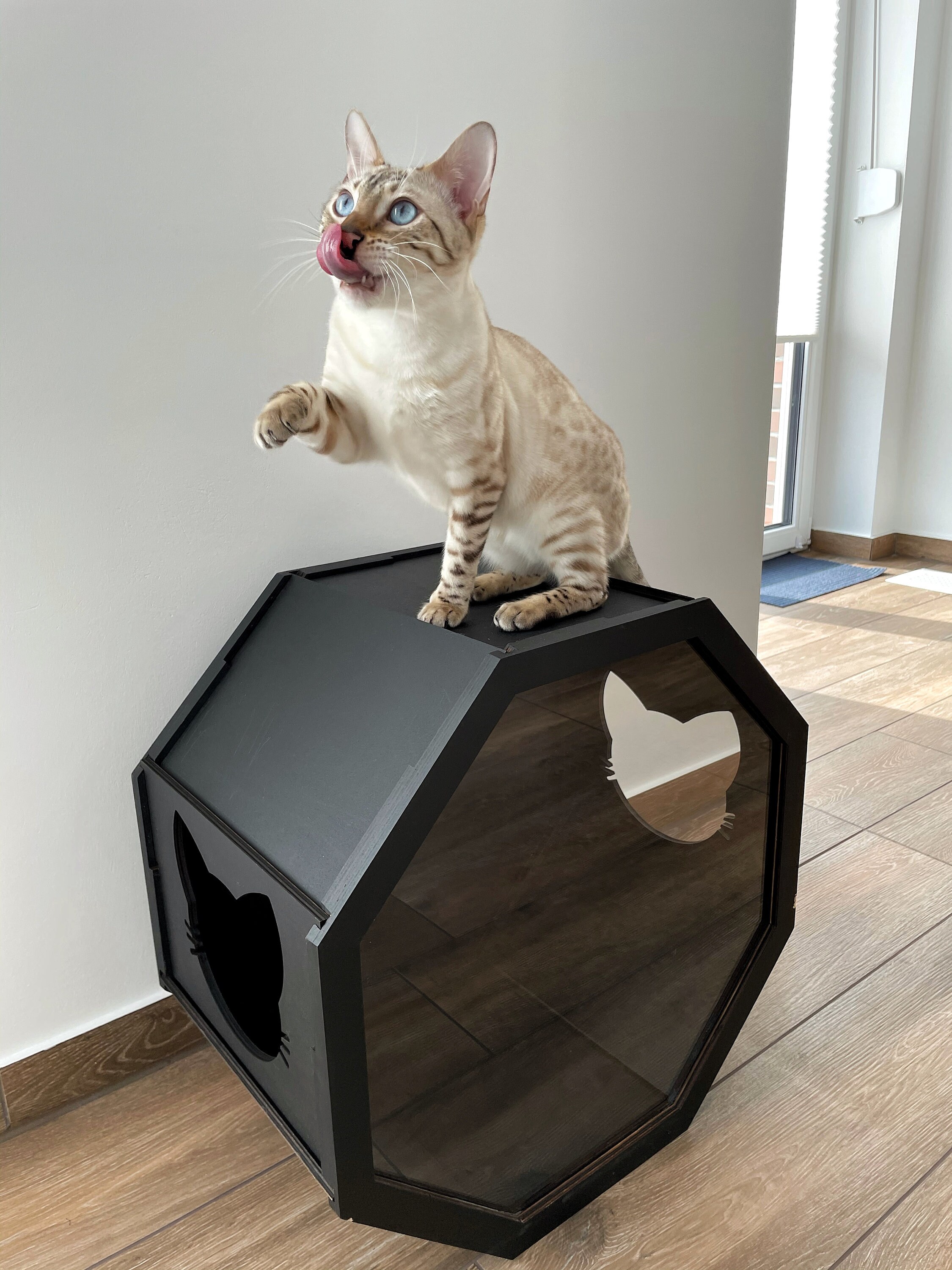Katze Haus Indoor Katze Wand möbel Katze Regale neue Haus Etsy