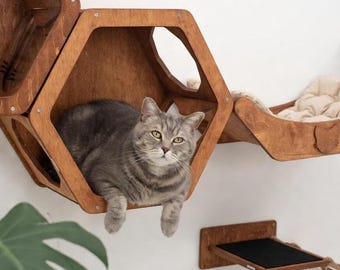 Muebles hexagonales de pared para gatos, conjunto de escalada de pared, percha personalizada para gatos, estantes de madera para gatos, puente para gatos, escalones y cama.