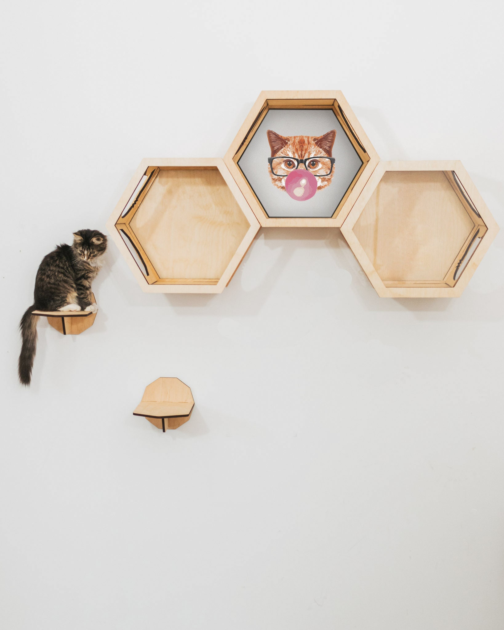 Stylisches KatzenMöbel Set Holz Regale für Katze mit - Il Fullxfull.3201875913 U1i5