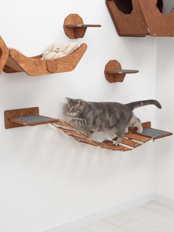 DIY Food Puzzles For Cats! - Modern Cat