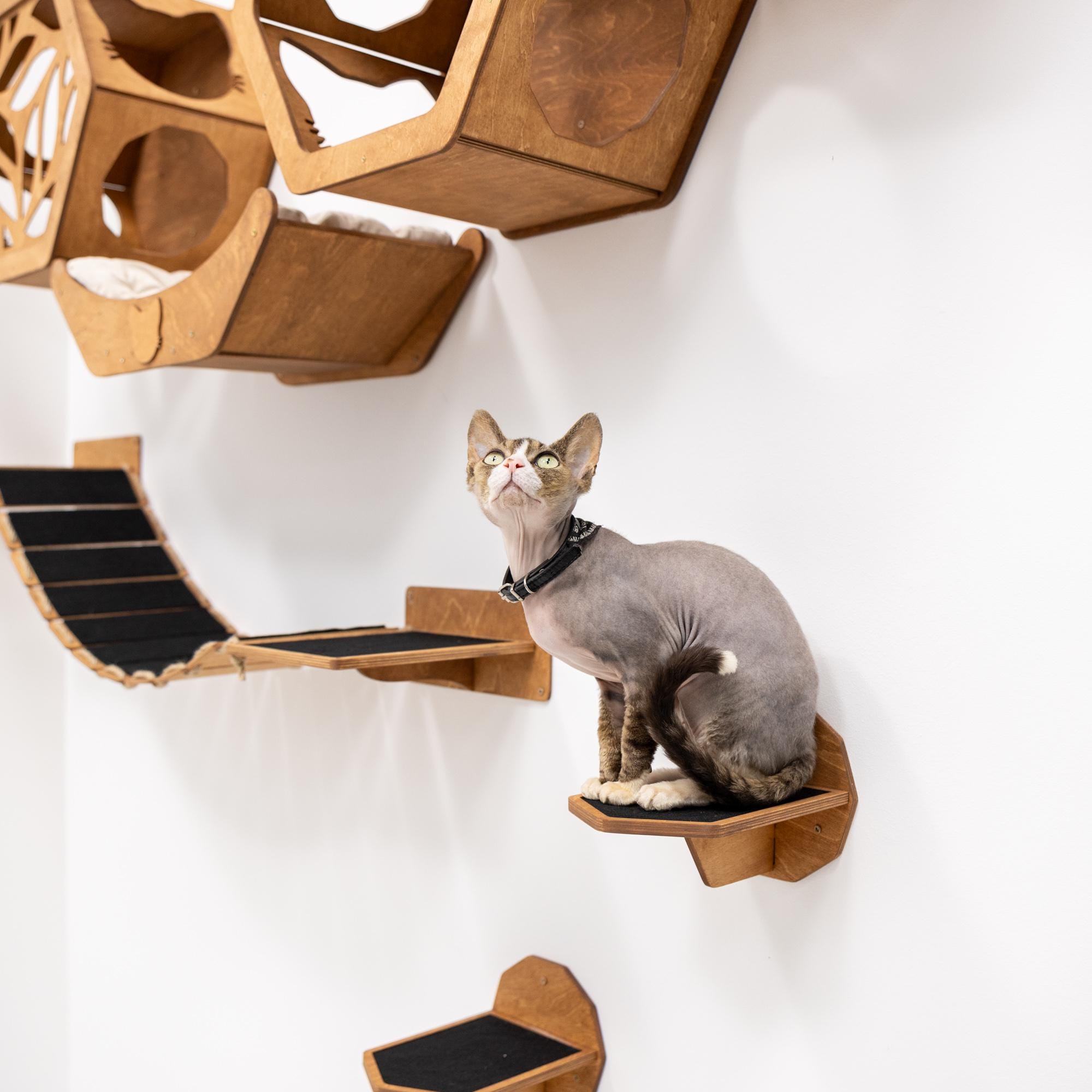 Modern Cat Wall Shelves, Cat Wall Furniture Set, Indoor Kitty