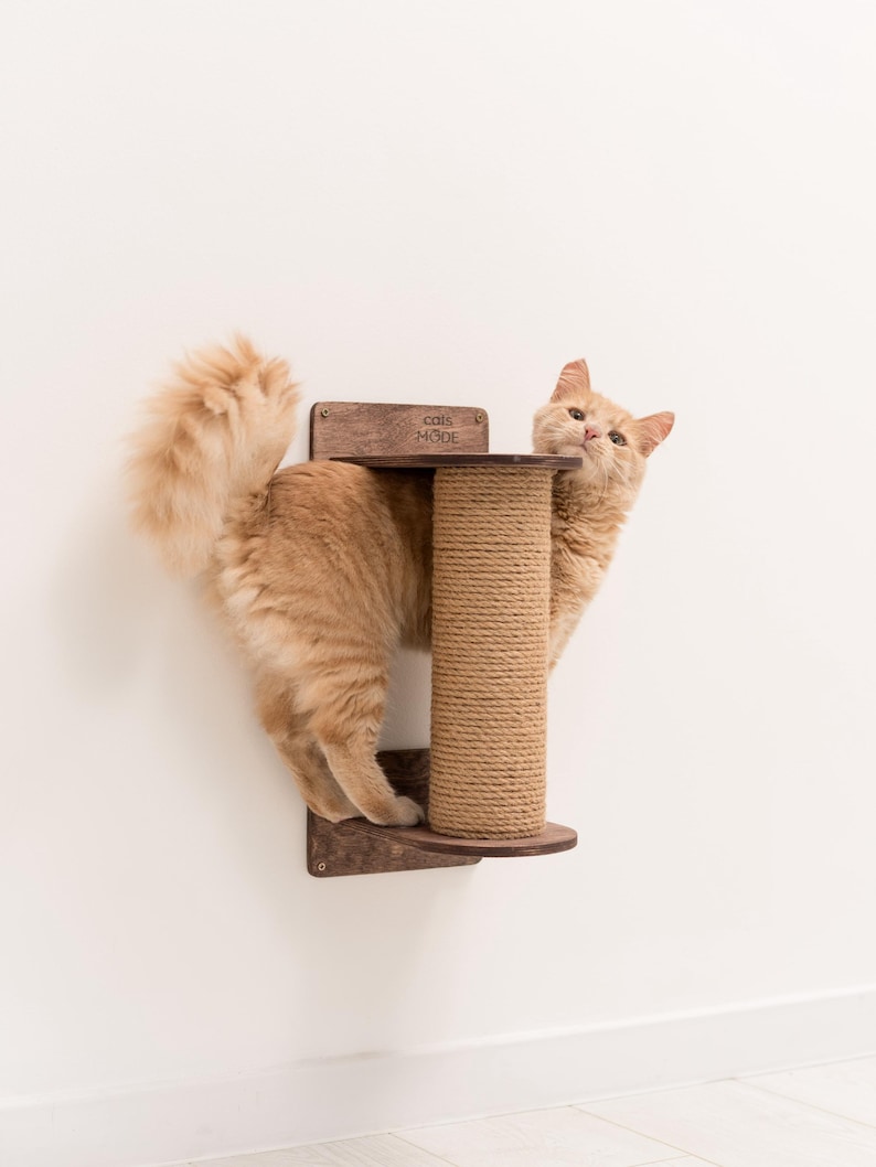May include: A ginger cat climbing a wall-mounted cat tree with a sisal scratching post. The cat tree has a small platform and a sign that reads "cats mode".