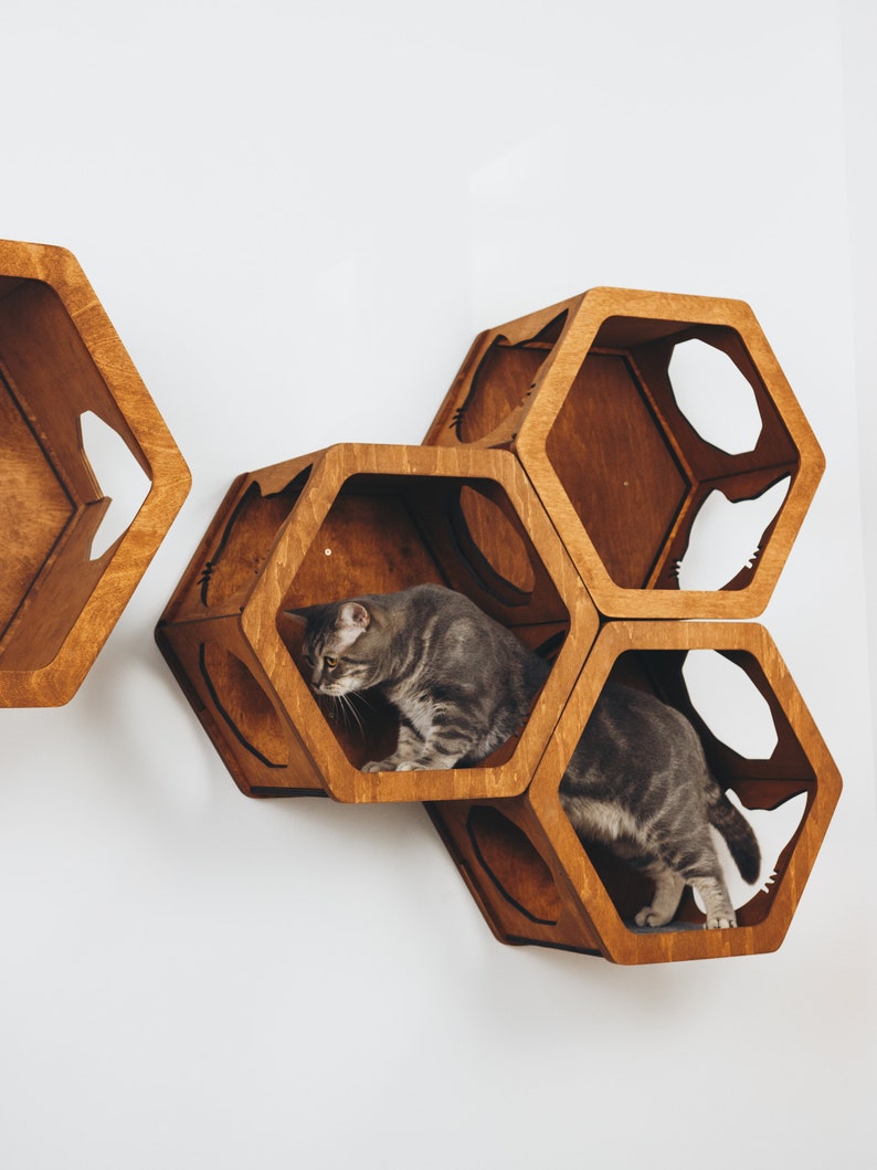 Hexagon Shelves for Cats Cat Lover Gift Cat Wall Shelves Etsy
