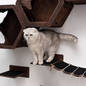 May include: A gray cat sits on a wooden shelf with a black fabric surface. The shelf is part of a wall-mounted cat tree made of wood with hexagonal shelves and a rope bridge. The cat tree is labeled "cats mode".