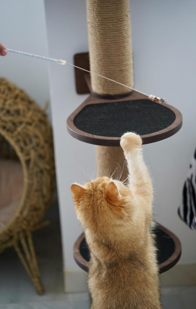 May include: A ginger cat reaches up to a toy on a string hanging from a cat tree. The cat tree is made of wood and sisal rope. The cat is standing on a platform with a black surface.