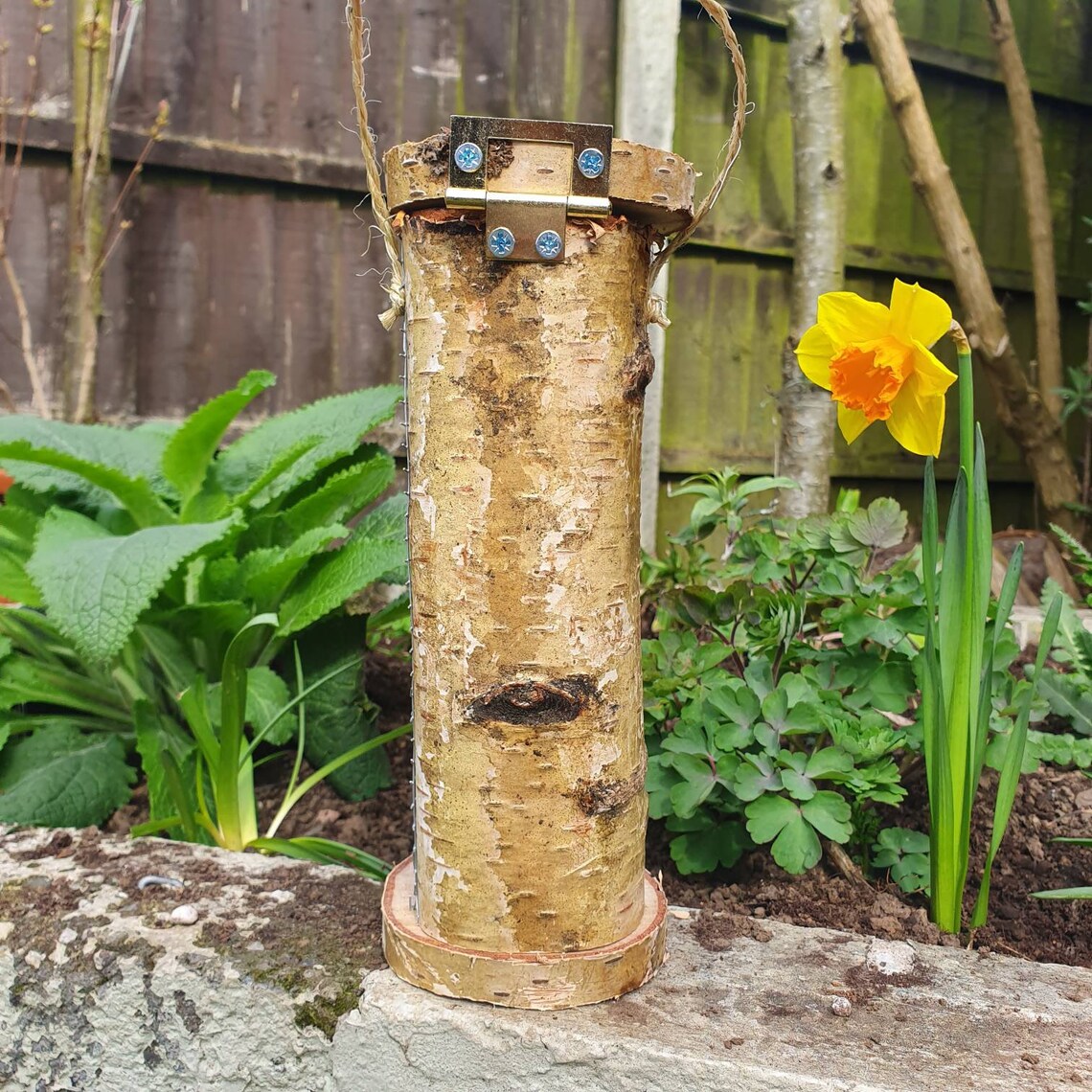 Handmade Birch Log Peanut Bird Feeder Upcycled Material Used Etsy