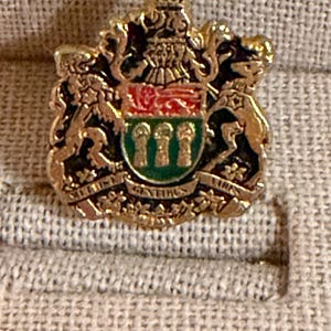 May include: A gold-toned pin featuring a detailed coat of arms design. The pin includes a crown, shields with red, green, and white elements, and the Latin inscription "Multis Gentibus Vires". The pin is set against a textured, neutral background.