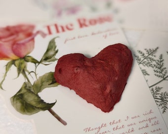 Children's Valentine's Day card , Environmentally Friendly Seeds, Valentine's Day Cards, Valentine's Day Surprises, Wedding Invitations