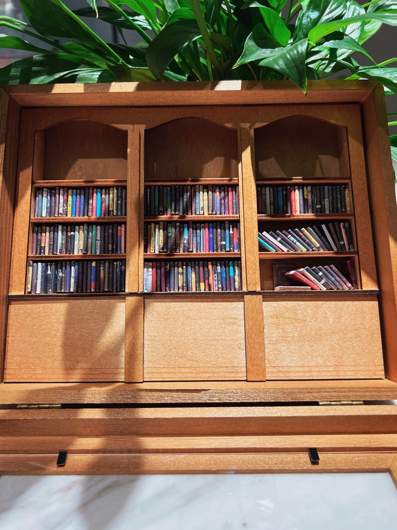 Anxiety Bookshelf Selected,miniature landscape miniature bookcase MINI bookcase.Gift for friends, antique style gift Study decoration.anxiet image 4