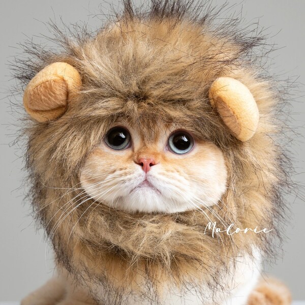 Cat Costume - Etsy