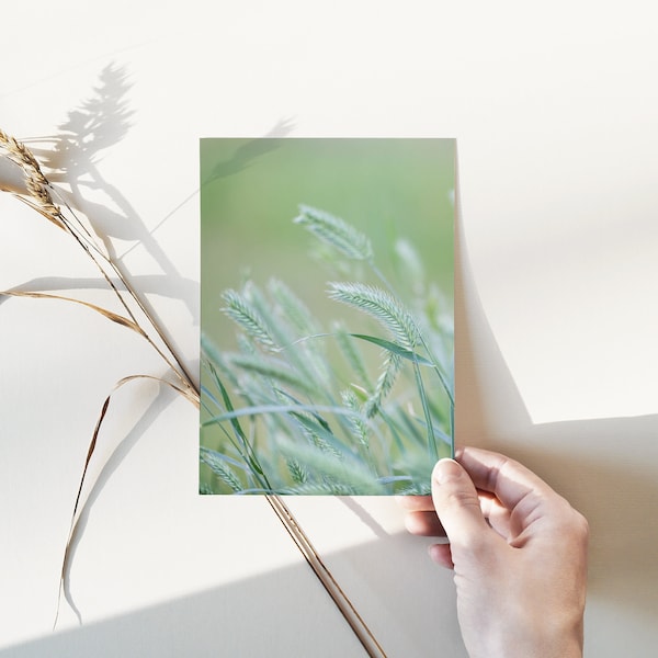 Gallery Wall Prints Etsy Canada