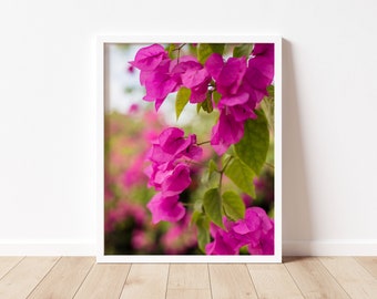 Pink Bougainvillea | Fine Art Print, Floral Print, Gallery Wall Art, Nature Picture, Photo Home Decor, Gift for Her