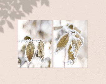 Frozen Leaves (Set of 2) | 4x6 or 5x7 Photo Pair,  Nature Prints, Gallery Wall Art, Nature Pictures, Photo Home Decor, Christmas Decor