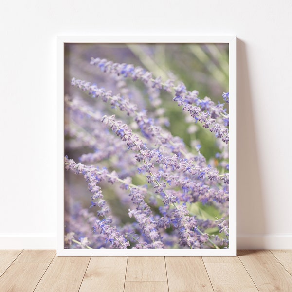 Lavender in the Breeze | Fine Art Print, Floral Print, Gallery Wall Art, Nature Picture, Photo Decor, Home Decor